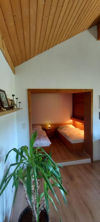Ruhig Gelegene Ferienwohnung Im Gruenen Mit Terrasse Und Kleinem Garten Rotthalmuenster Ngoại thất bức ảnh